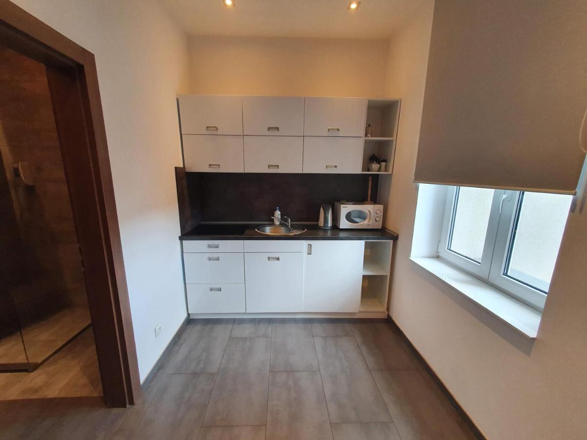 Apartamenty Mlynska 4 Gliwice Eksteriør billede