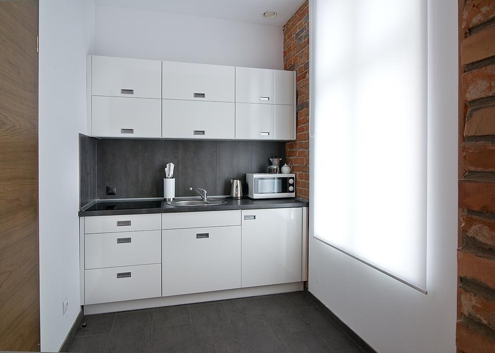 Apartamenty Mlynska 4 Gliwice Eksteriør billede
